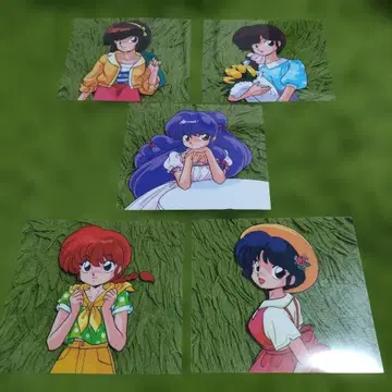 란마 1/2 셀 시트 5종 세트