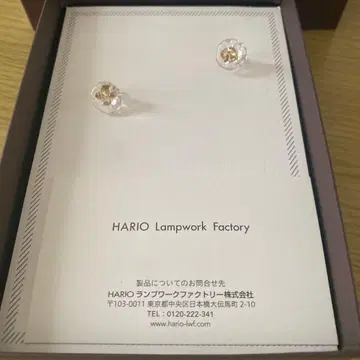 HARIO 클리어 골드 스터드 귀걸이