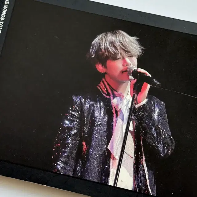 뷔 윙즈파이널 에세이북