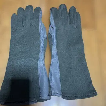 플라이트 그로브