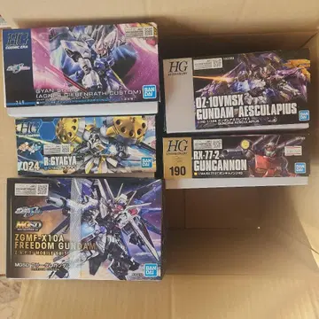 건담 프라모델 HG MGSD 세트