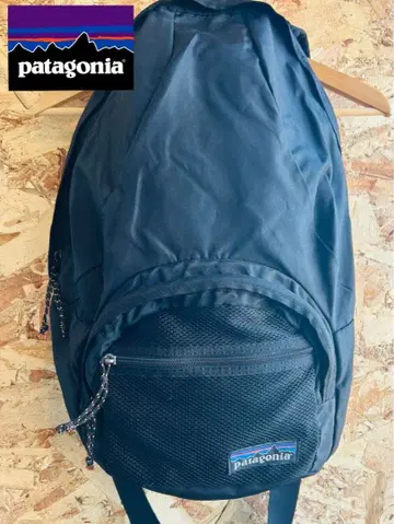 01' patagonia Medium Daypack 파타고니아 데이팩