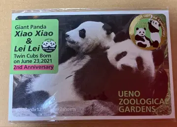 샤오샤오 레이레이 2세 기념 엽서 세트