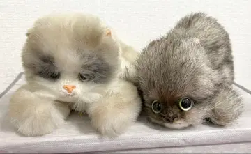 리얼 고양이 봉제 인형 2체 세트