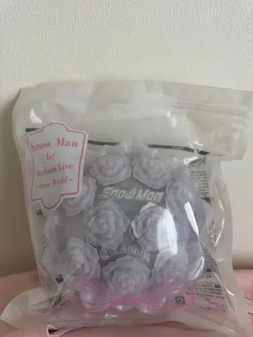 Snow Man 1st Stadium Live -Snow World-