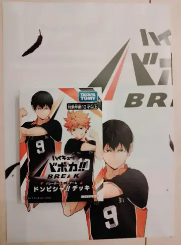 바보카 점프 페스타 2026