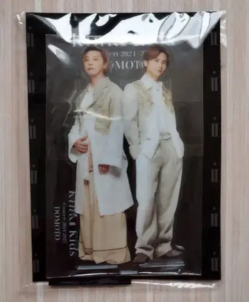 [ 미개봉품 ] KinKi Kids 아크릴 스탠드 2024-2025