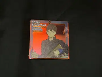 하이큐 BIG 오로라 키홀더 카게야마 토비오