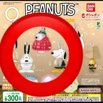 PEANUTS 메지루시 액세서리 FUNNY ver. 3종 세트