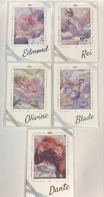 NU:카니발 벌스데이 폴라로이드 5장