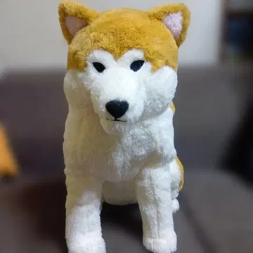 따스한 가을 아키타견 마사키치 울트라 BIG 봉제 인형