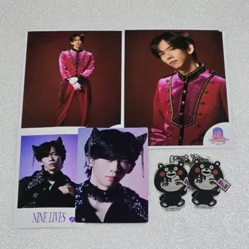 초특급 료가 곰 세트