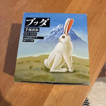 붓다 전 12권 세트 테즈카 오사무