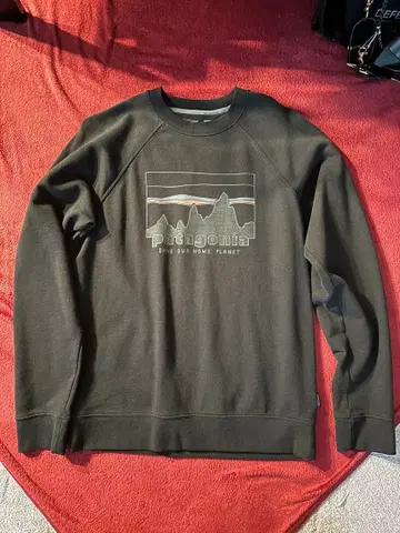 파타고니아 남성용 '73 스카이라인 오가닉 크루 스웨트 셔츠