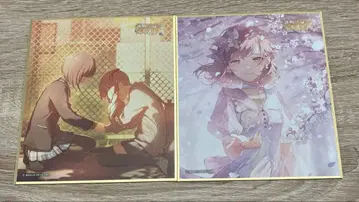 프로세카 색지 에나