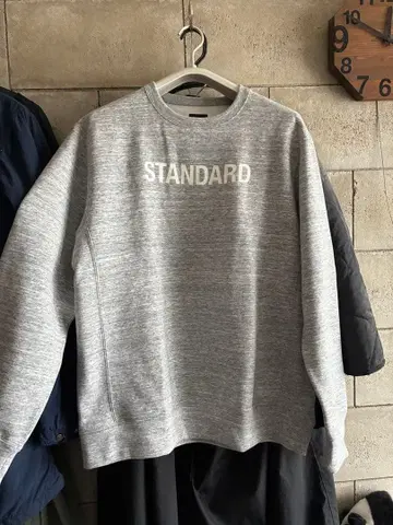 THE NORTH FACE STANDARD 맨투맨 그레이