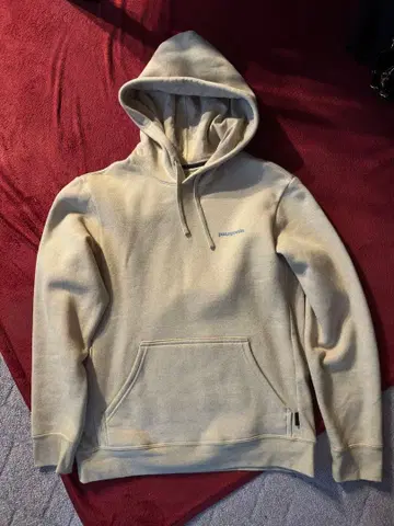 파타고니아 업라이저 후드티 새상품급