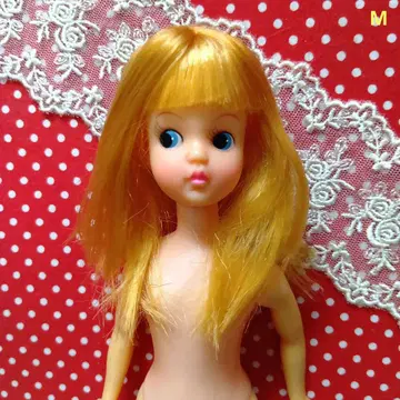 스칼렛 짱 칸나 짱 소체 나카지마 제작소 쇼와 레트로 옷 갈아입히기 인형