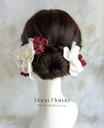 팔레놉시스 머리 장식 세트