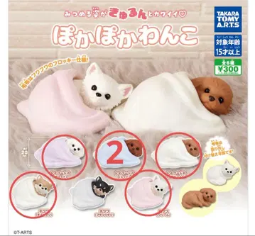 따뜻한 강아지 가챠 세미 컴플리트 토이 푸들 치와와 6종 세트