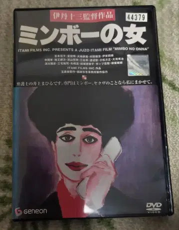 민보의 여자 DVD 렌탈판