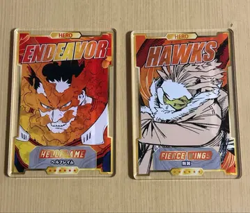 히로아카 스탯 카드 점페스 호크스 엔데버