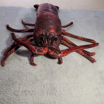 이세 새우 봉제 인형 약 55cm