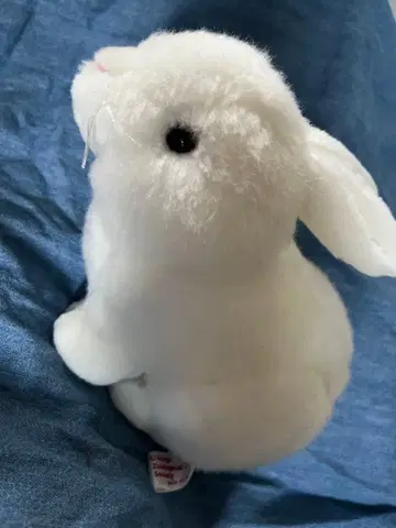 화이트 토끼 봉제 인형 리얼 귀여운 M 사이즈 토끼 동물원 토끼 화이트