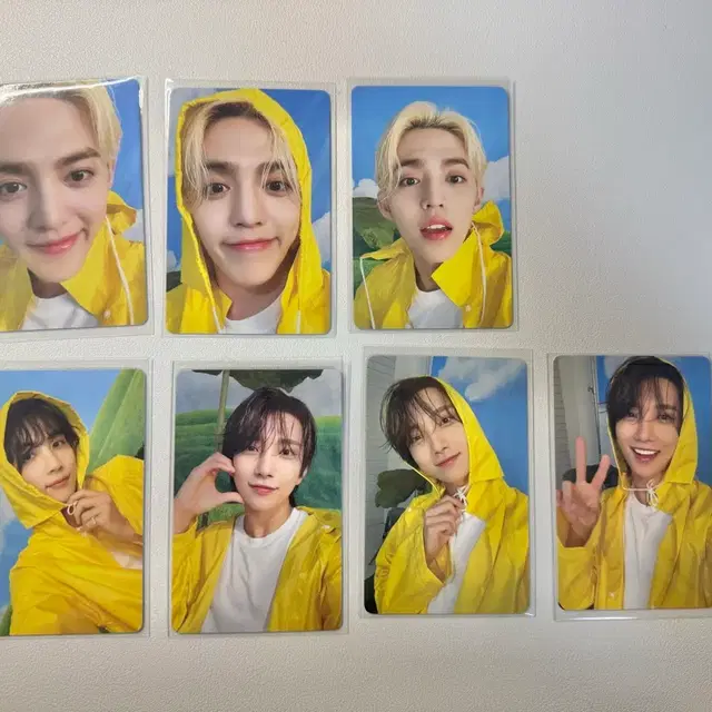 세븐틴 헤븐 캐럿반 포카