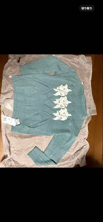 유키 토리이, 스웨터