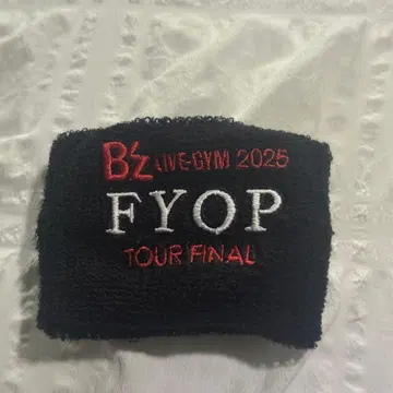 B'z FYOP 가챠 리스밴 파이널 한정판 12/21