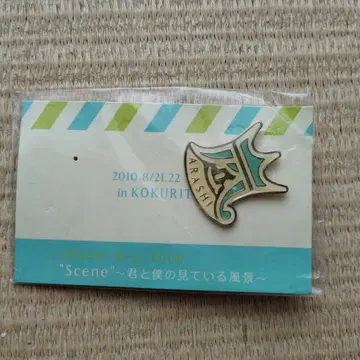 아라시 핀 배지 2010.8/21.22.9/3.4 국립