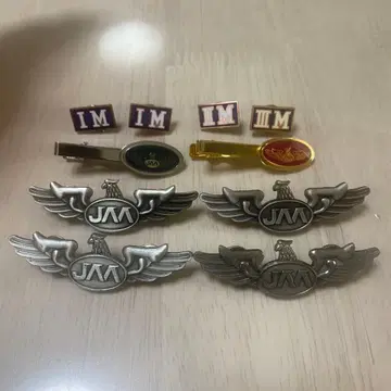 핀 배지 세트 일본항공학원 배지 일본항공고등학교