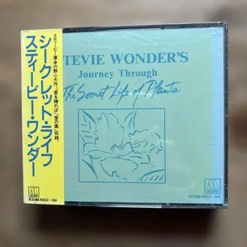 스티비 원더 시크릿 라이프 구규격 미개봉