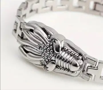 드래곤 헤드 팔찌 펑크 록 케이스 포함