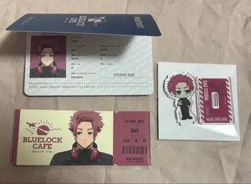 이토시 사에 special trip 세트