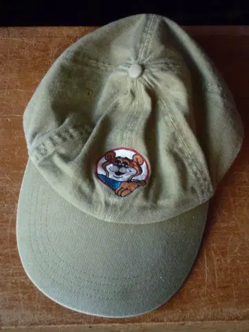 never young beach 캡