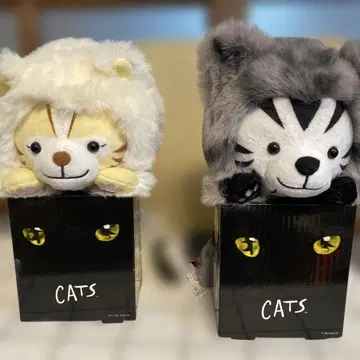 극단 사계절 CATS 펀바루즈 2체
