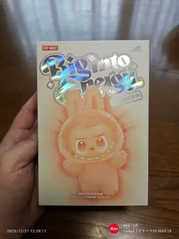 [ LABUBU 라부부 ] 빅 에너지 미개봉