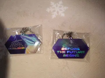 스페이스 마운틴 파이널 이그니션 키링 디즈니랜드