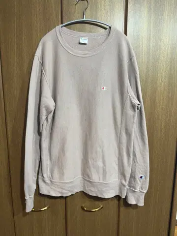 CHAMPION REVERSWEAVE SWEATSHIRTS