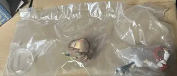 동방수집록 피규어 주황