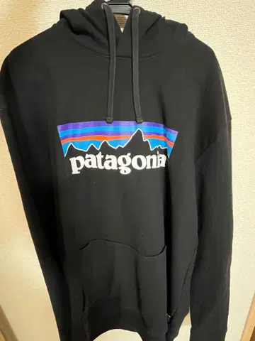 파타고니아 블랙 후드티
