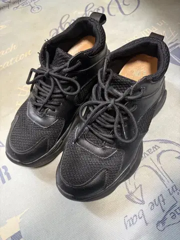 통굽 스니커즈 메쉬와 합성 피혁