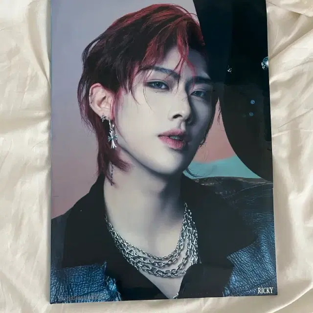 리키 앨범 팔아요