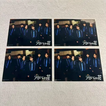 MATSURI 아가베 꽃 브로마이드