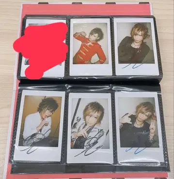 R지정 카에데 폴라로이드