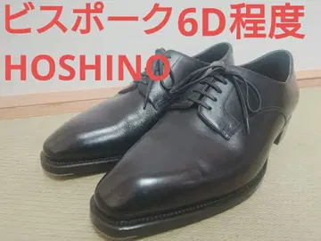 HOSHINO 비스포크 6D 정도
