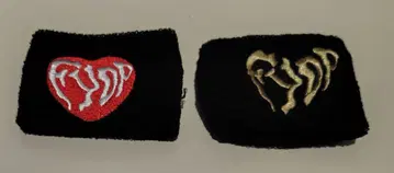 B'z FYOP 리스트 밴드 세트 12/21 파이널