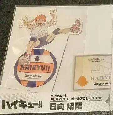 하이큐!! 히나타 쇼요 점페스 타카라토미아츠 아크릴 스탠드